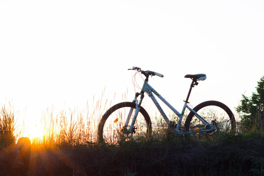 Women's Saracen Mountain Bike