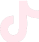 TikTok Icon